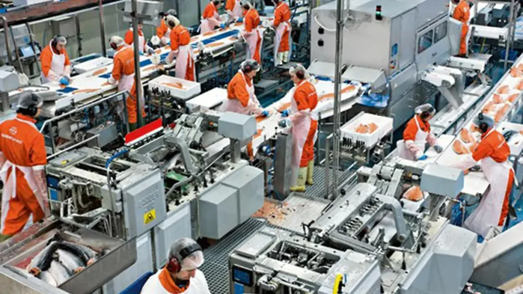 Industria Manufacturera 2
